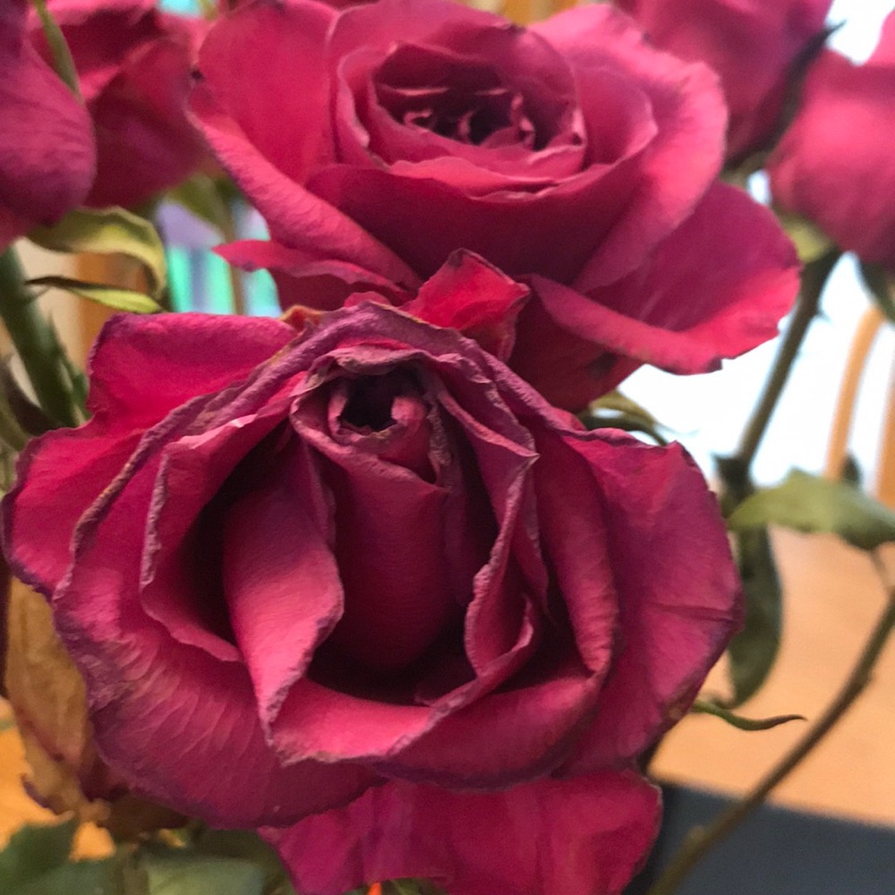 Meet your Posher, Caroline